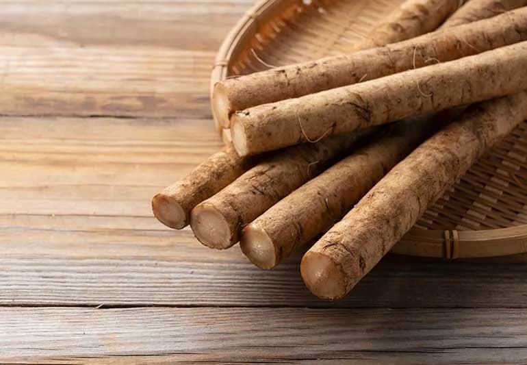 Burdock Root